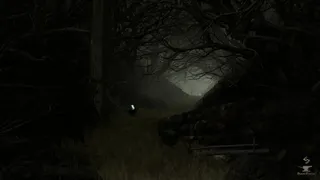 Скриншот 8 к игре Runic Prophecy