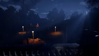Shadows in the Silence