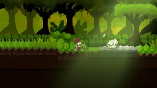 Jungle Shadow