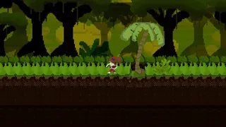 Jungle Shadow