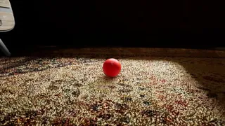 Скриншот 8 к игре Good Boy The Long Night