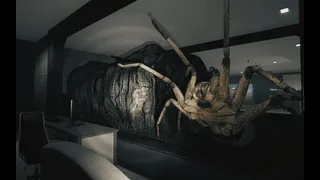 Huntsman