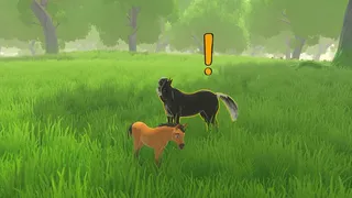 Spirit Horse Simulator