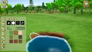 Pond