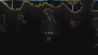 Echoes of the Hive