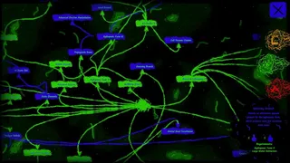 Entrotria