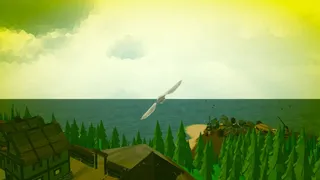 Simulators, strategies and pigeons