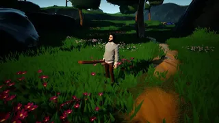 Simulators, strategies and pigeons