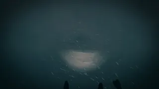 The Last Ski Trip