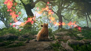 Adorable Adventures