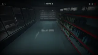 Anomaly Observer