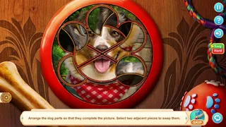 Дом для Друзей: Любимые Питомцы Коллекционное издание