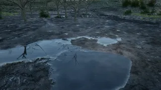 Don't Follow