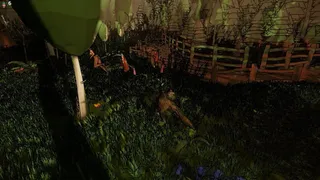 БУХОЙ ВОЛК