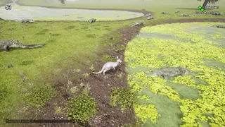 The Last Kangaroo