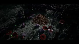 Soilborn: Ant Empire