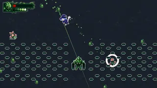 Don’t Touch the Bug
