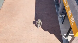 下凡
