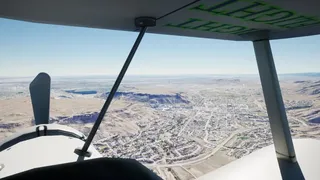 Fight Flight