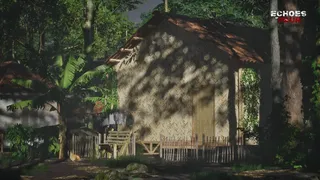 Echoes of Paur