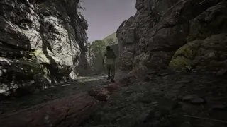 Echoes of Paur
