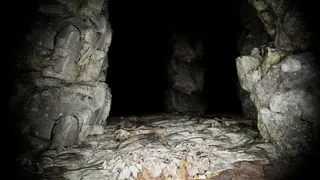 Abandoned ecosystem