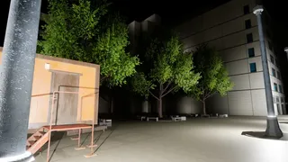 Abandoned ecosystem