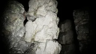 Abandoned ecosystem