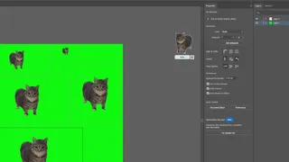 OiiAi Cat