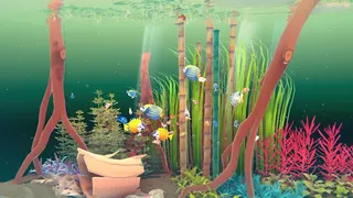 Fishplay
