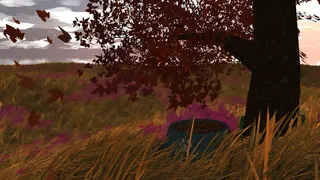 The Lonely Tree