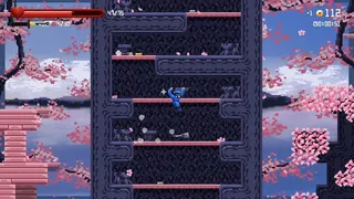 Tsujigiri