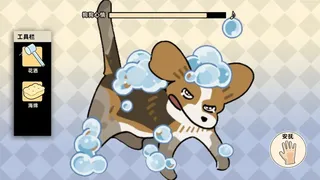 Bubble dog