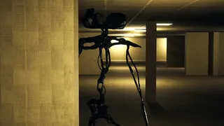 Backrooms M.E.G