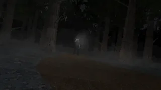 Don't Stop In Red Wood