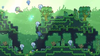 Shelldiver