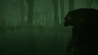 Shadow Warren