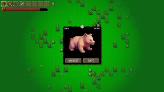 Bow Hunter
