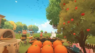 Farm to Table