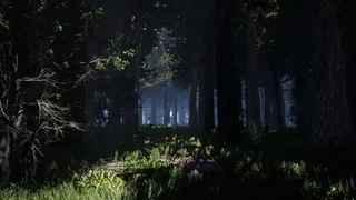 Alone on the Lost Isle