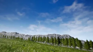 Alone on the Lost Isle