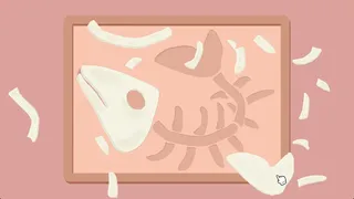 鸽亿分钟