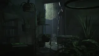 Anomalien