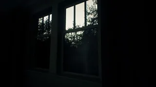 Birth Of X