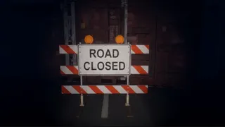 Fear Of Reptiles: Chapter 1