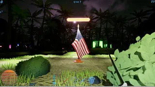 Save The Flag