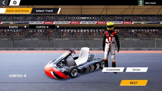 Скриншот 5 к игре мир картинговых гонок