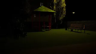 Nocturnomaly