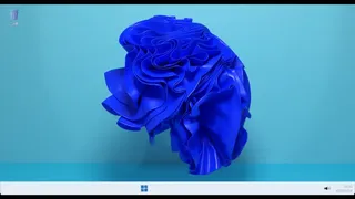 プレイすると死ぬゲーム