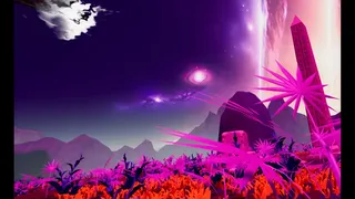 The Explorer